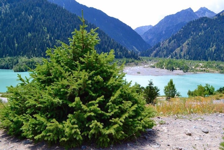 3-Day Nomadic Adventure to Turgen Falls, Assy Plateau & Glamping near Almaty photo 3