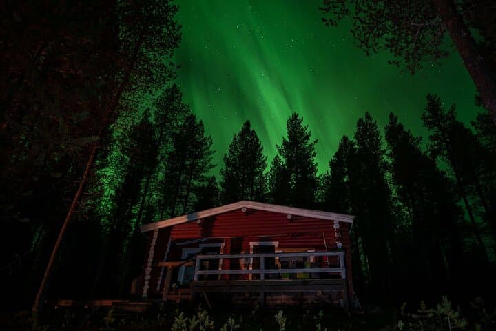 Wilderness Sauna and Reindeer Farm Experience Near Rovaniemi photo 4