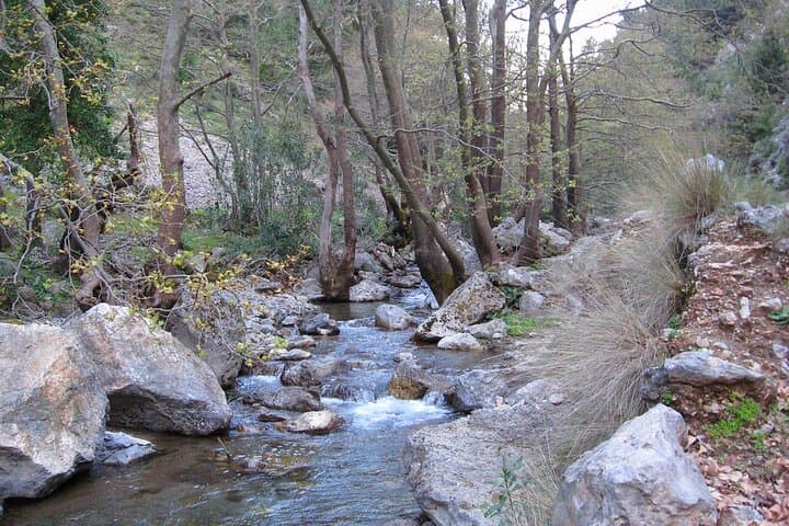 Hike Agia Irini Gorge and Unwind at Sougia Beach — Full-Day Private Tour photo 3