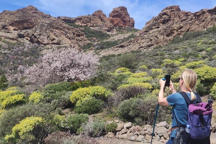 Hiking the Sacred Mountains of Gran Canaria: Roque Bentayga & La Caldera de Tejeda photo 3