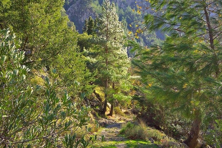 Hike Agia Irini Gorge and Unwind at Sougia Beach — Full-Day Private Tour photo 2