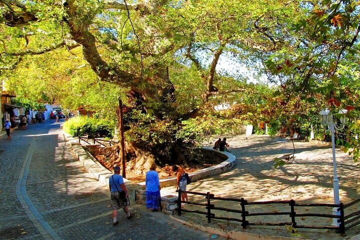 Cretan Villages & Traditional Night at Lyrakis Olive Mill — Private Tour from Heraklion photo 6