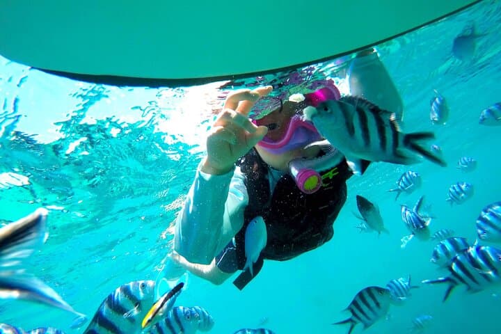 Okinawa Family Snorkel: Sea Picnic & Gentle Snorkeling in Onna for Kids 2+ photo 4