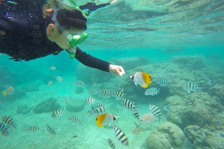 Okinawa Family Snorkel: Sea Picnic & Gentle Snorkeling in Onna for Kids 2+ photo 6