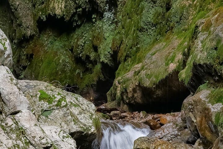 Ferriere Valley Hike: Amalfi Coast Waterfalls, Paper Mills & Ancient Forests photo 6