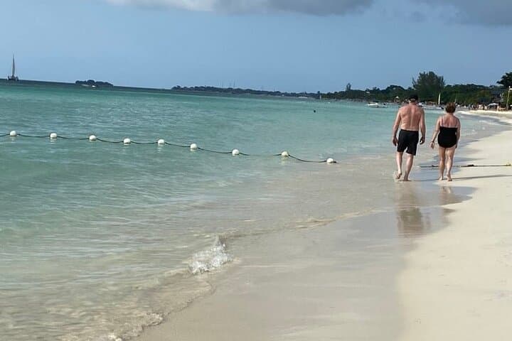 Negril West End Cliffs & Seven Mile Beach — French-Guided Full-Day Tour