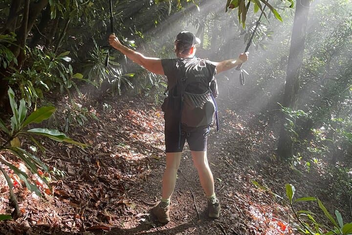 Privately Guided Full-Day Hike in the Blue Ridge Mountains photo 4