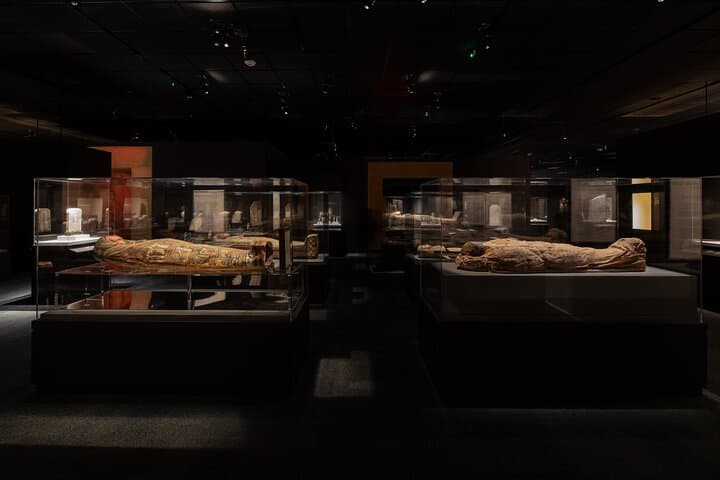 What to Expect at the Houston Museum of Natural Science: Permanent Exhibit Hall Guide photo 4