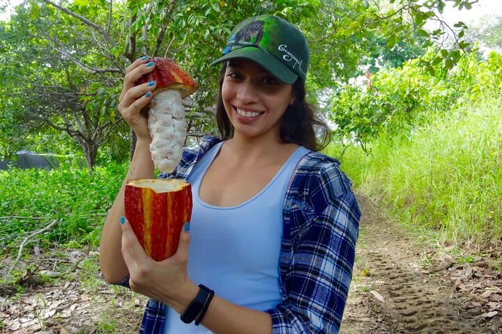 Mangroves, Dolphins and Cacao: Full-Day Tour from Guayaquil photo 5