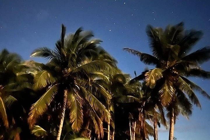Olowalu Private Stargazing and BYO Barbecue: Farm-After-Hours on Maui photo 1