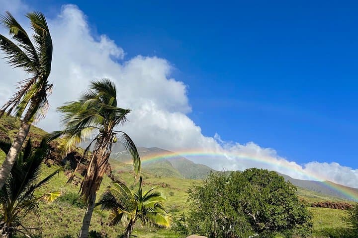 Olowalu Private Stargazing and BYO Barbecue: Farm-After-Hours on Maui photo 2