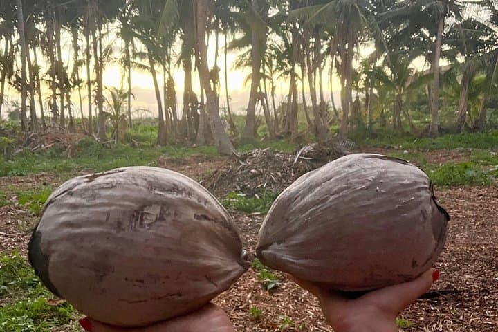 Olowalu Private Stargazing and BYO Barbecue: Farm-After-Hours on Maui photo 3