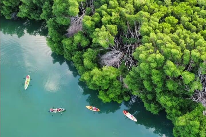Sunset Kayak Tour in Nichupté Lagoon — Cancun Mangrove Adventure photo 2