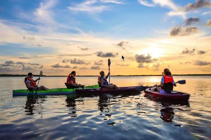 Sunset Kayak Tour in Nichupté Lagoon — Cancun Mangrove Adventure photo 3