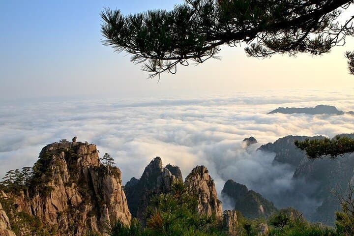 Weekend at Huangshan: 2-Day Private Yellow Mountain Tour from Shanghai