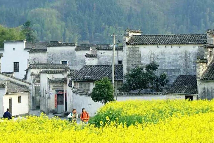 Weekend at Huangshan: 2-Day Private Yellow Mountain Tour from Shanghai photo 6