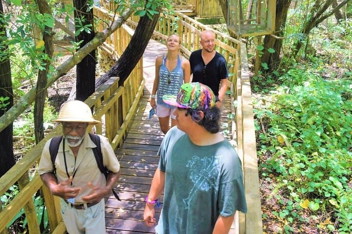Montego Bay Zipline, ATV & Safari Combo — Half-Day Adventure photo 2