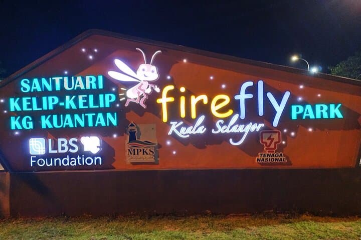 Batu Caves to Kuala Selangor Fireflies: Private Day Tour from Kuala Lumpur photo 1