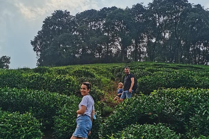 Ultimate Hangzhou Day Tour: West Lake, Lingyin Temple & Tea Village photo 4