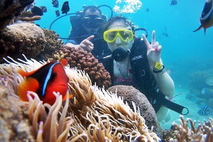 Dive Hon Mun: Nha Trang Coral Bay Scuba Day Trip photo 6