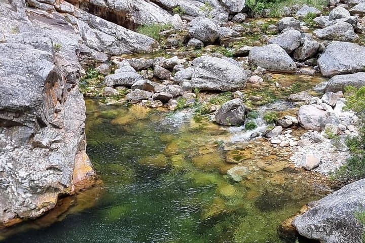 Five-Hour Fly Fishing in Cape Town: Streams and Estuaries for Trout & Garrick photo 2