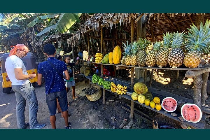 Nosy Be Full-Day Private Natural-Style Island Tour with Lemurs & Waterfall photo 2