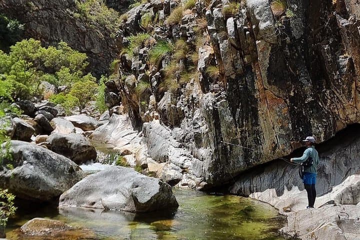 Five-Hour Fly Fishing in Cape Town: Streams and Estuaries for Trout & Garrick photo 4