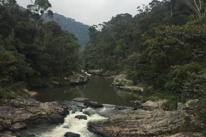 10-Day South Madagascar Classic: Rainforest Lemurs, Isalo Sandstone & Ifaty Beach photo 5