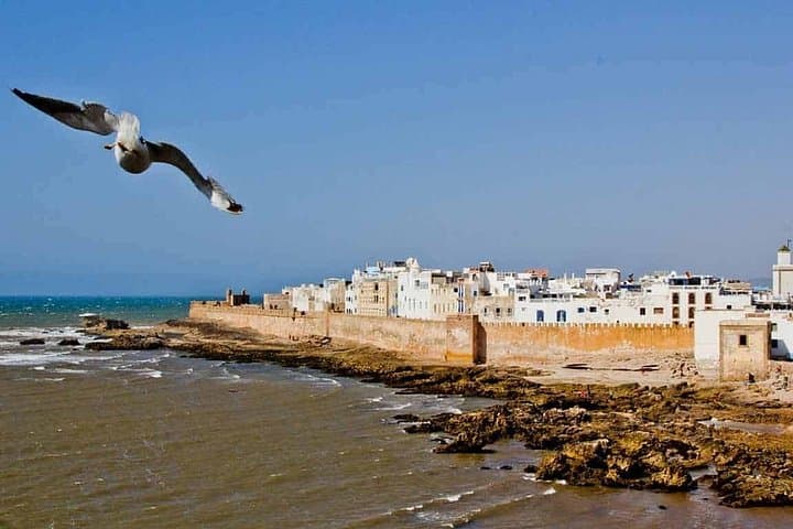 Agadir to Zagora & Marrakech: 4-Day Ocean-to-Desert Morocco Tour photo 4