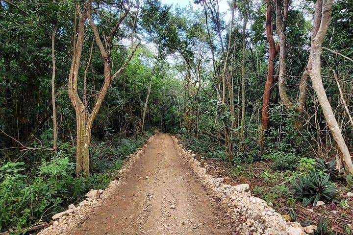 Mount Zion Adventure: Horseback Riding, ATV & Farm Tour Near Montego Bay photo 4