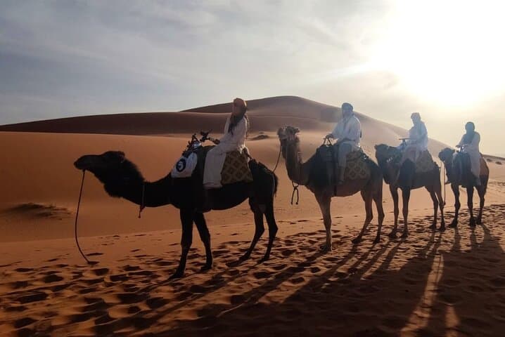 Merzouga Sunset Adventure — Camel Trek, Dune Hike & Sandboarding at Erg Chebbi photo 5