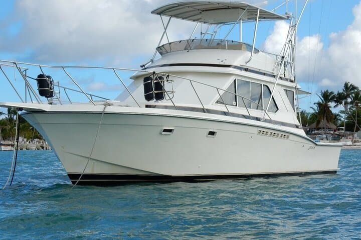 Deep Sea Fishing Adventure in Punta Cana: Private Charter with Orion