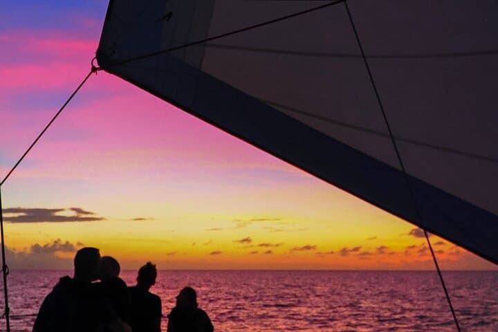 Live Music Sunset Sail St. Croix — Jolly Mon Rum Punch & Turtle Sightings photo 5