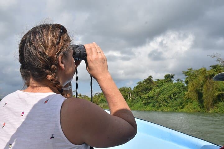 Monkey River Wildlife Encounters and Manatee Watch from Placencia photo 3