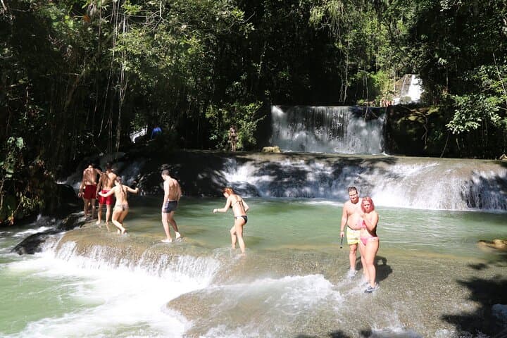 YS Falls & Black River Safari: Private Day Trip from Montego Bay photo 5