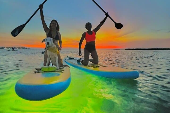 Cartagena Sunset Glow Paddleboard Tour — LED Night SUP Experience photo 5