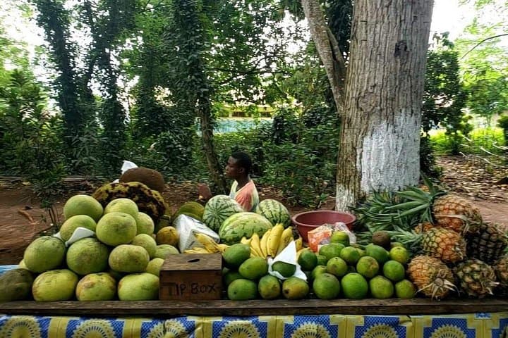 Spice Farms, Stone Town & Prison Island Day Tour — Zanzibar Highlights photo 4