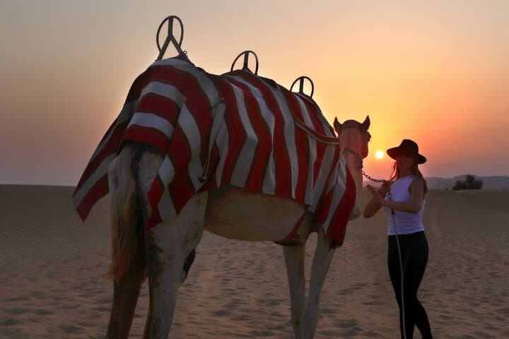 Evening Desert Safari Dubai — Camel Ride, Dune Bashing & Bedouin BBQ photo 5