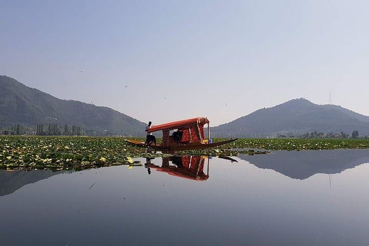 Kashmir Paradise on Earth: 7-Day Srinagar, Gulmarg & Pahalgam Adventure photo 2