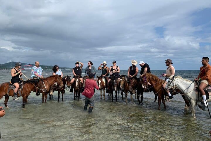 Roatán Sloth and Horseback Riding Adventure: Jungle Trails to Ocean Views photo 3