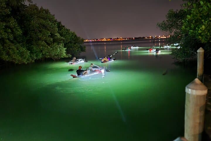 Anna Maria Island Clear Kayak LED Night Glass-Bottom Tour photo 4