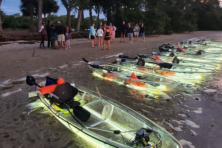Anna Maria Island Clear Kayak LED Night Glass-Bottom Tour photo 5