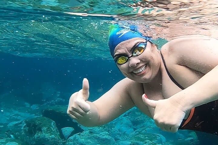 Private Open-Water Swim in Garajau Marine Reserve, Madeira photo 2