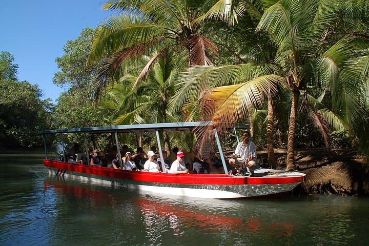 Mangrove Monkey Boat Tour in Manuel Antonio — Wildlife-First Mangrove Cruise photo 4