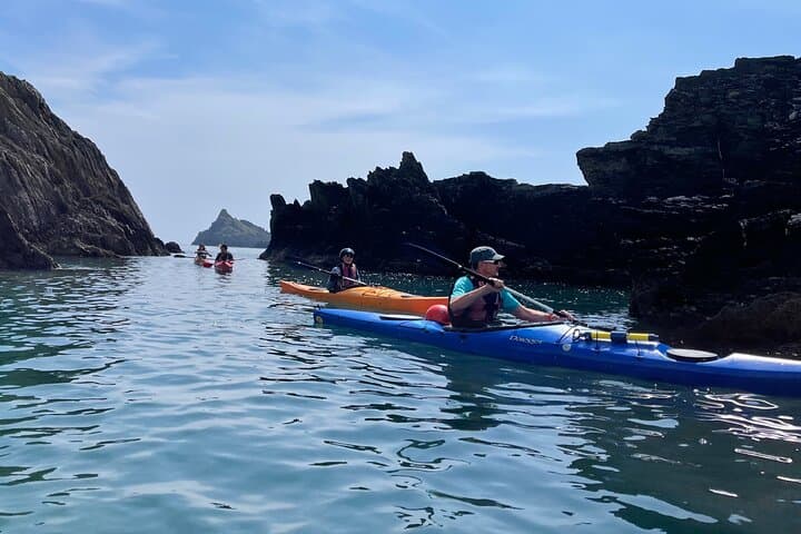 Half-Day Sea Kayak Tour on the Devon Coast — Hidden Bays, Wildlife & Beach Stop