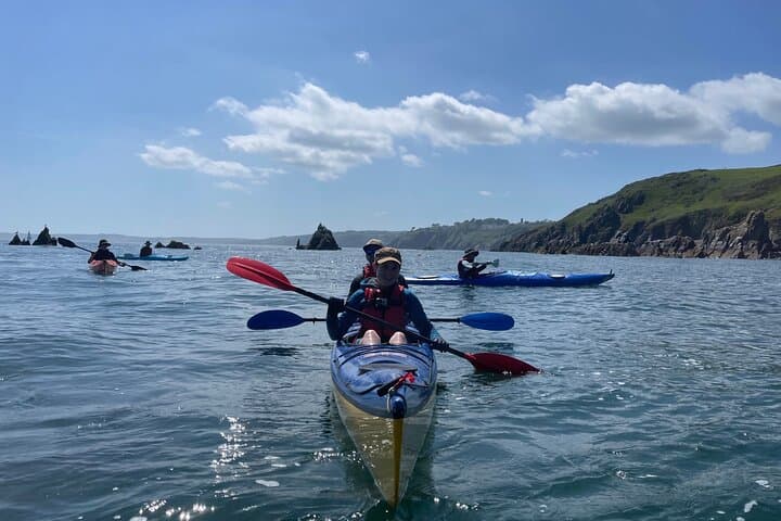 Half-Day Sea Kayak Tour on the Devon Coast — Hidden Bays, Wildlife & Beach Stop photo 3