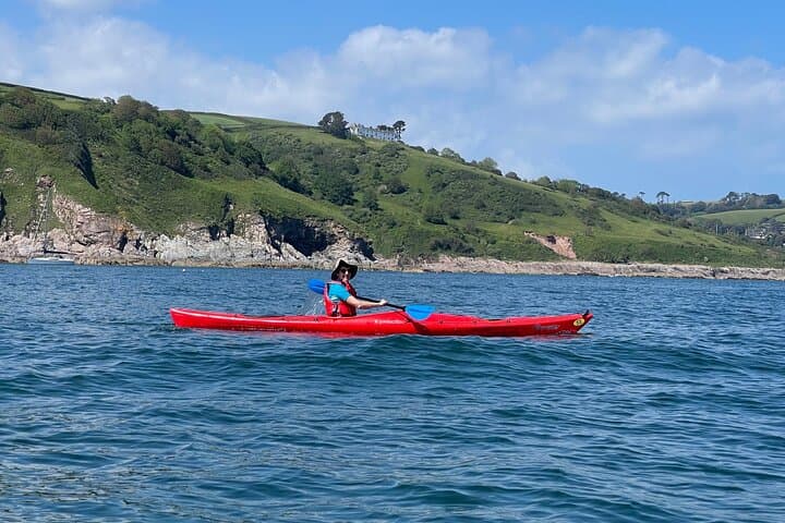 Half-Day Sea Kayak Tour on the Devon Coast — Hidden Bays, Wildlife & Beach Stop photo 4