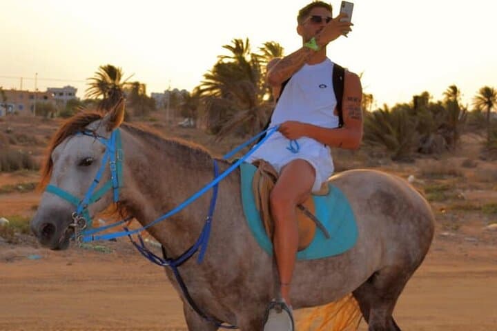 Djerba Camel and Horse Lagoon Ride — 2.5-Hour Berber Tracks Adventure photo 6