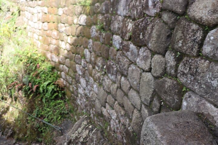 Inca Jungle Trek: 4-Day Bike & Hike to Machu Picchu photo 3