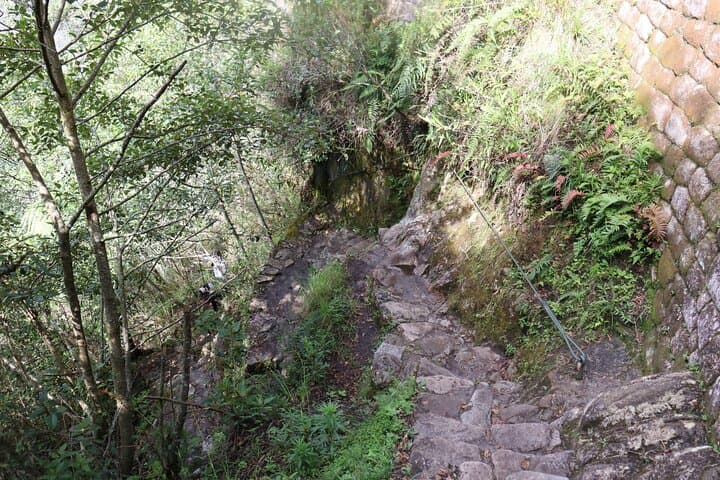 Inca Jungle Trek: 4-Day Bike & Hike to Machu Picchu photo 5